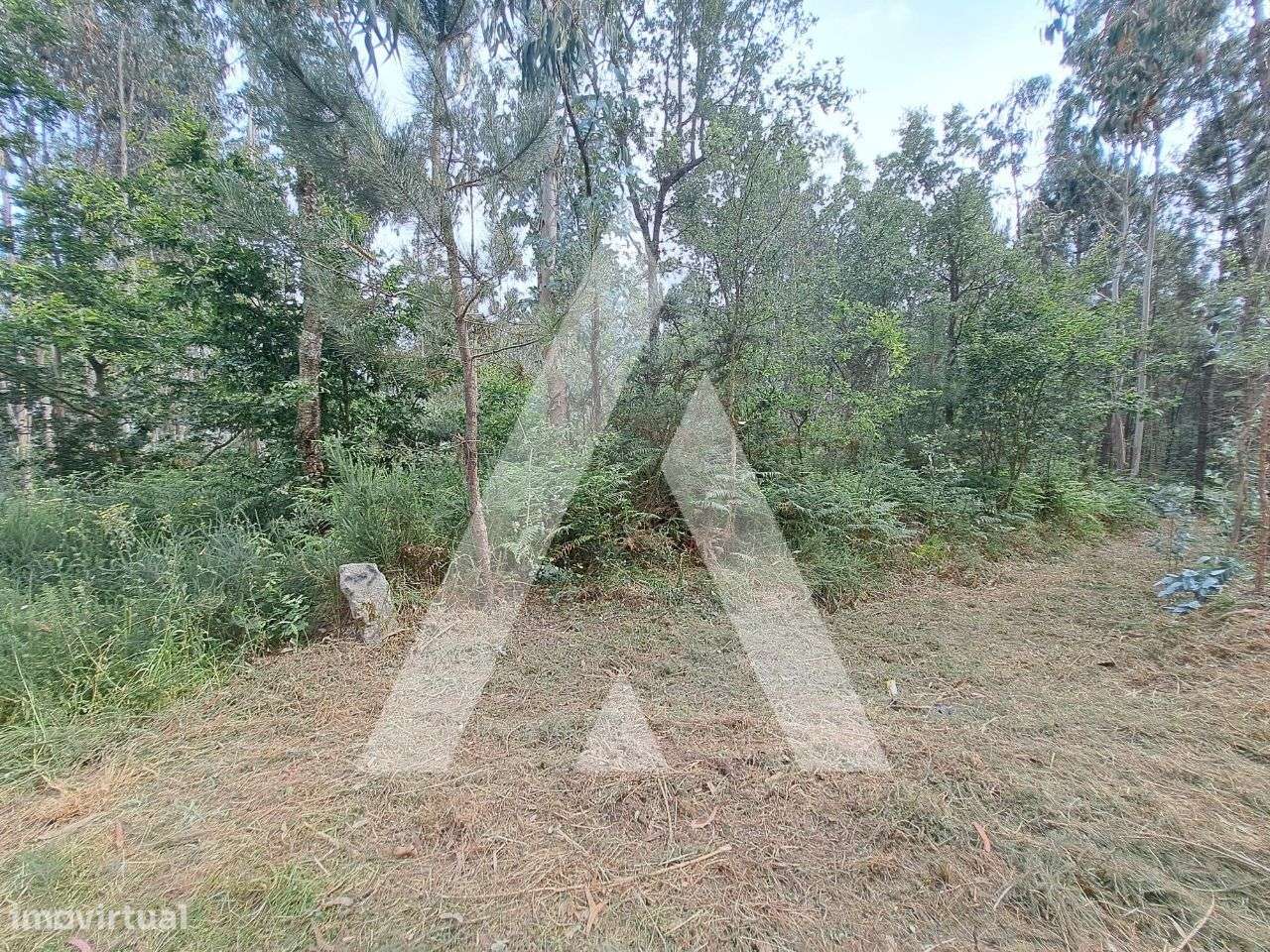 Terreno para venda para construção de moradias na zona de Argoncilhe - Grande imagem: 4/14