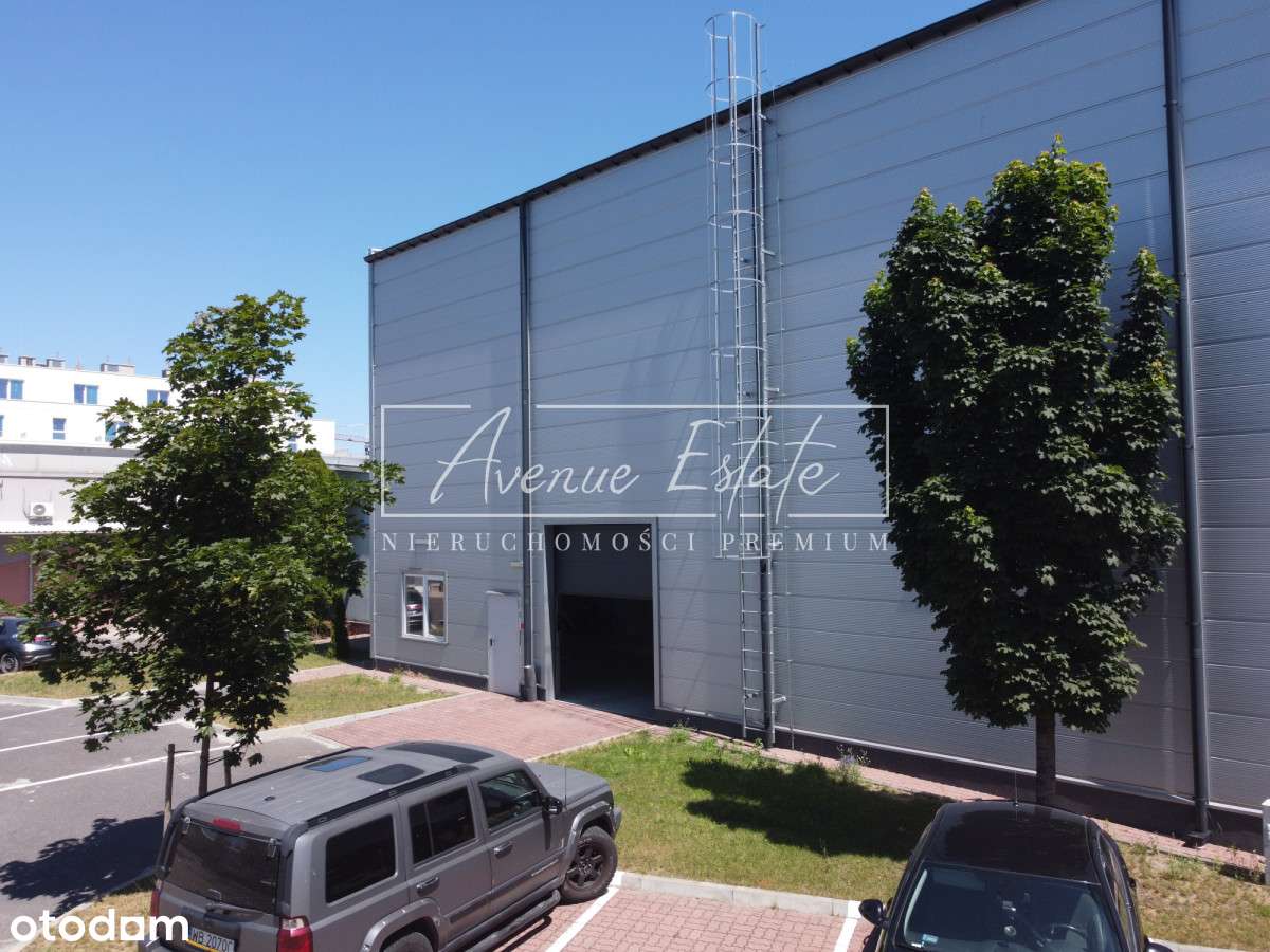 Magazyn z rampą i dokiem / 509 m² / 11 m wysokości - Pełny obrazek: 4/7