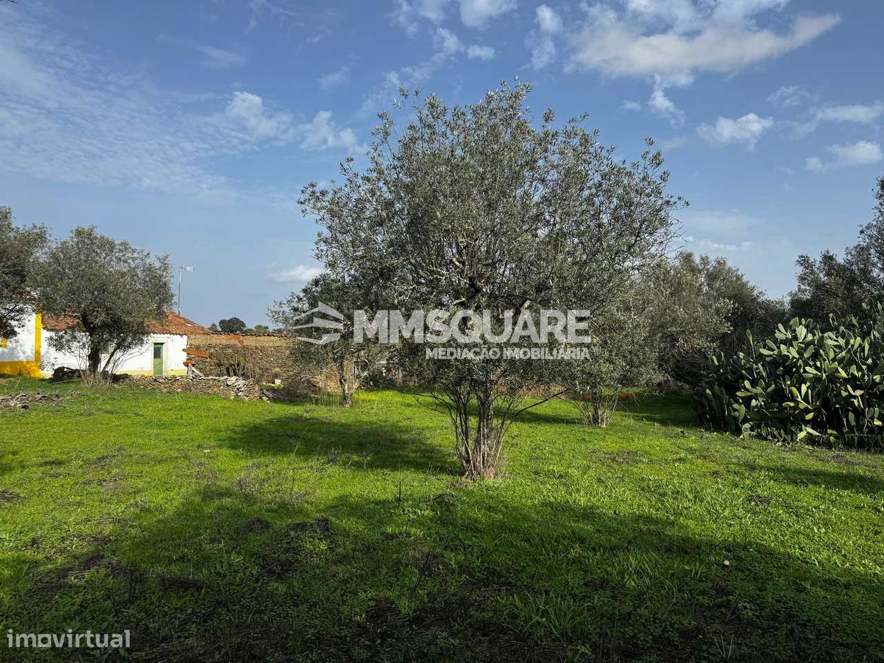 Quintinha T3 Venda em Ourique,Ourique-21