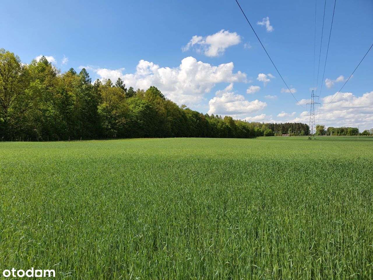 Działki Korpele - Pełny obrazek: 2/11