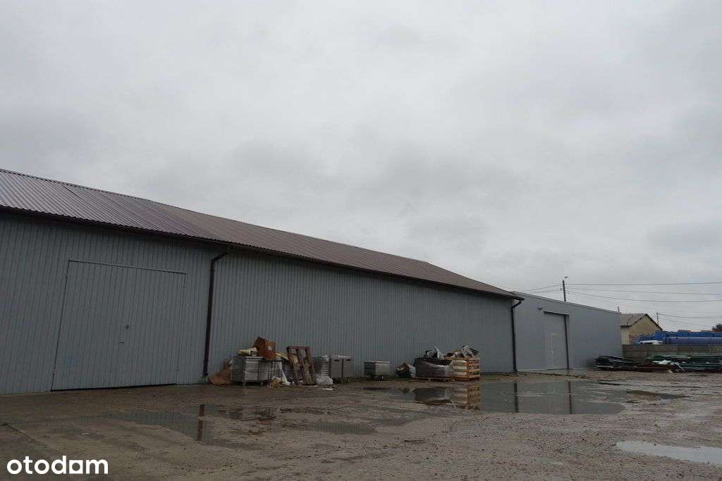 Hala 500 m2 - Pełny obrazek: 4/10