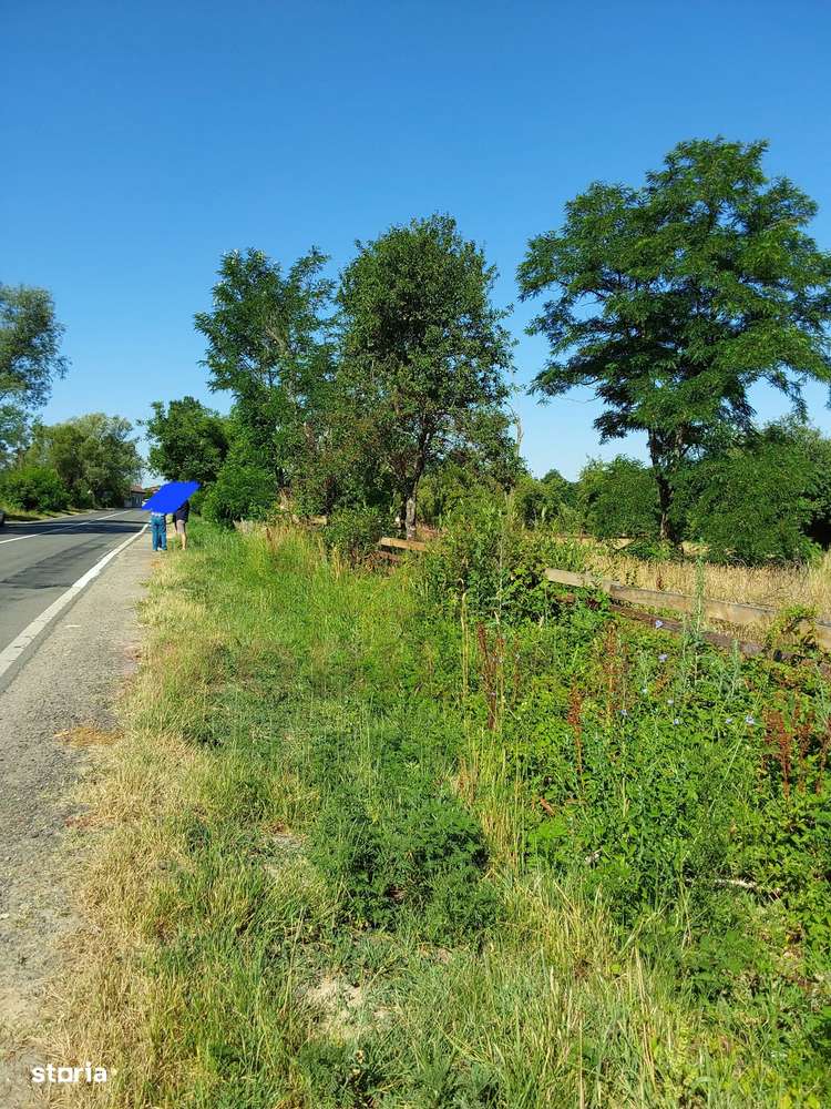 TEREN INTRAVILAN ZĂVOI\ZONA VALEA BISTREI, JUD.C-S-6