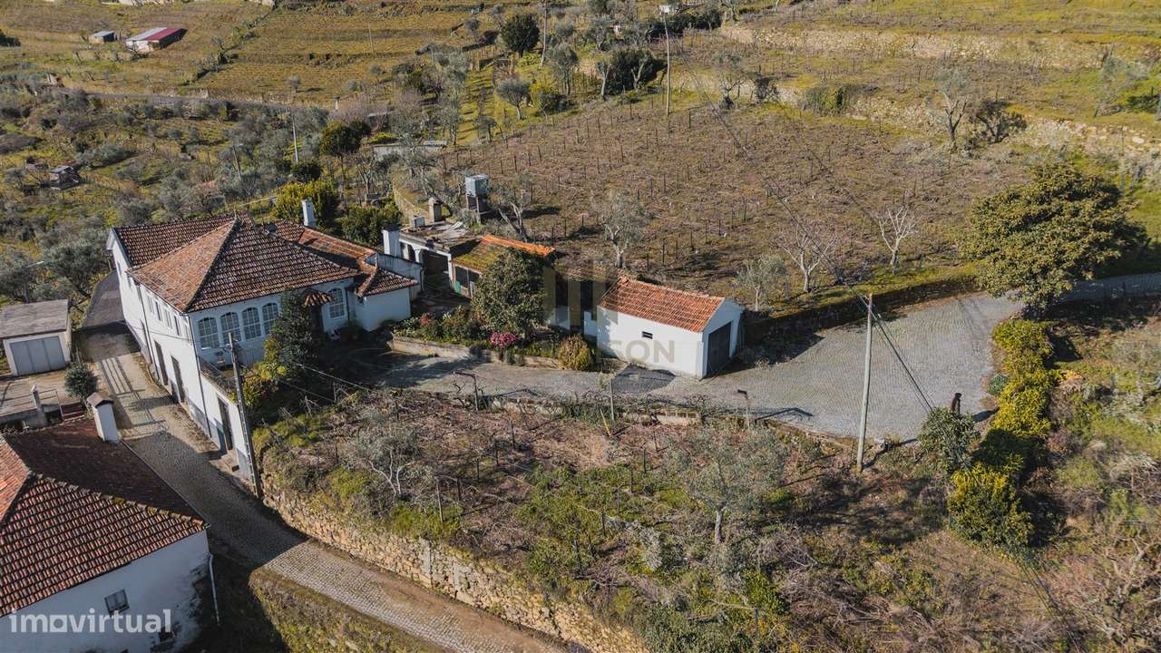 Oportunidade no Douro | Quinta com História | Lamego-7