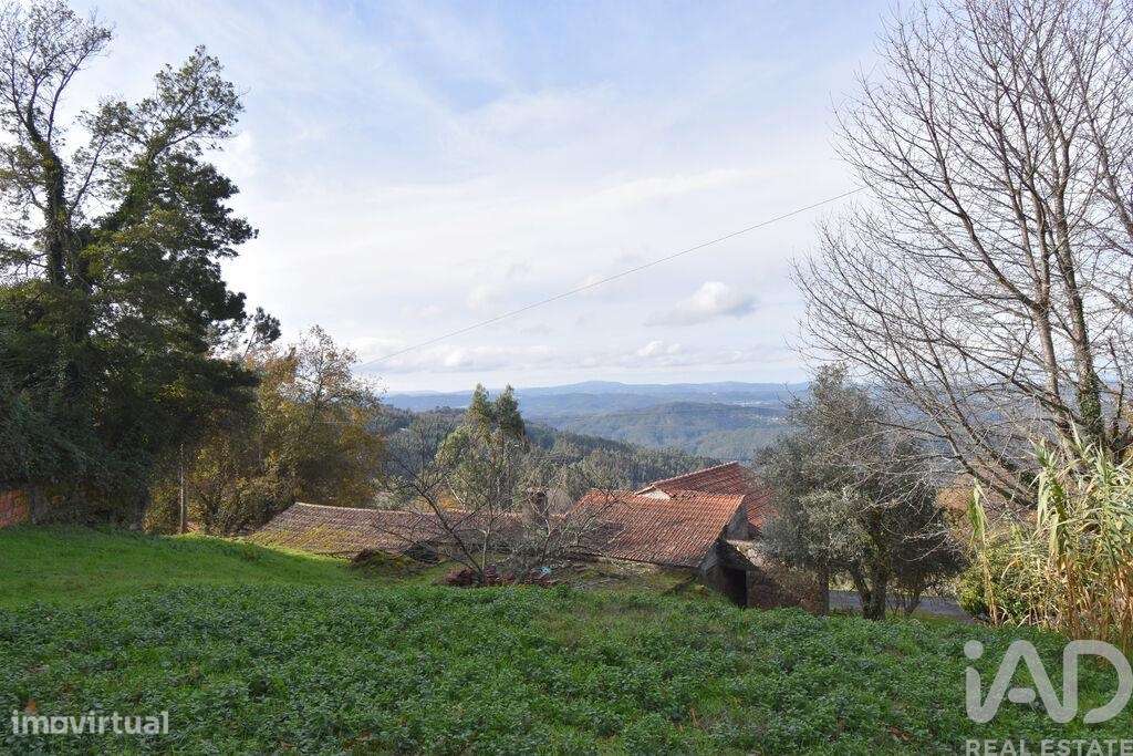 Casa / Villa T4 em Vila Nova de 372 m2 - Grande imagem: 5/37