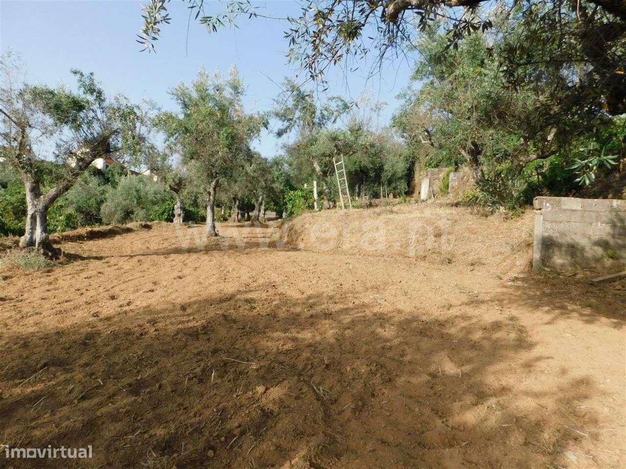 Quintinha / Fundão, Souto da Casa - Grande imagem: 4/20