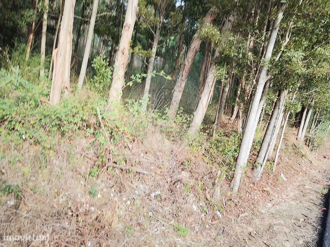 Terreno  para venda - Grande imagem: 2/3