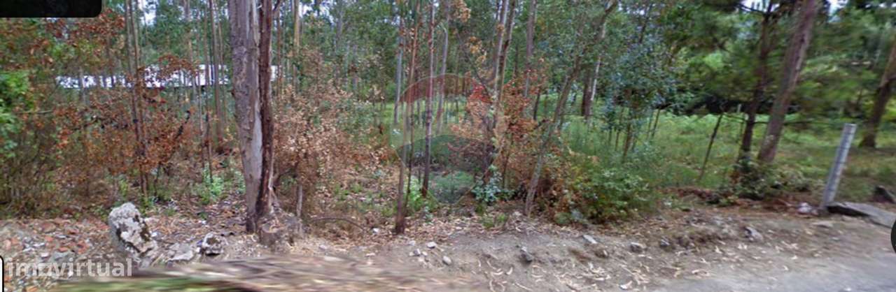 Terreno  para venda - Grande imagem: 4/4