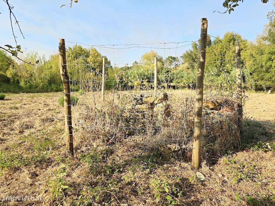 Terreno Misto  Venda em Torres Novas (São Pedro), Lapas e Ribeira Bran-14