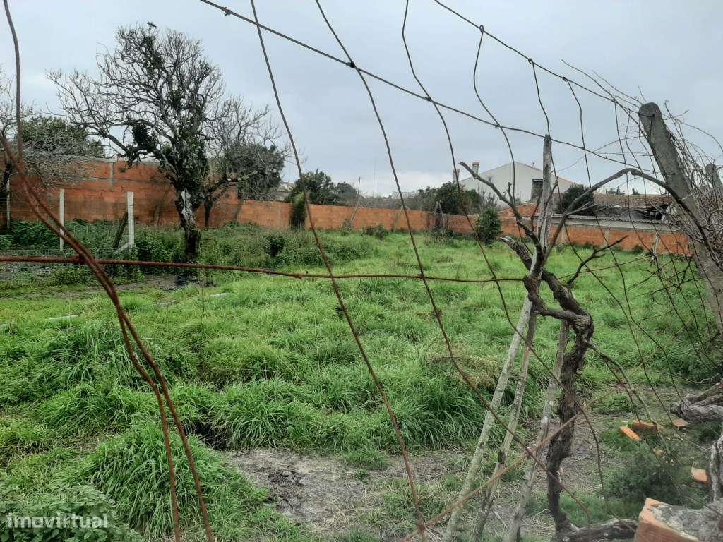 Terreno com 44 m frente Calvão - Vagos - Grande imagem: 5/10