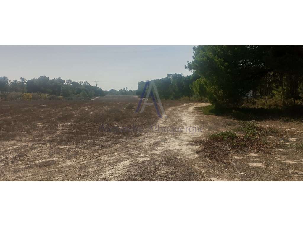 Terreno Rústico na Roça - Grande imagem: 3/6