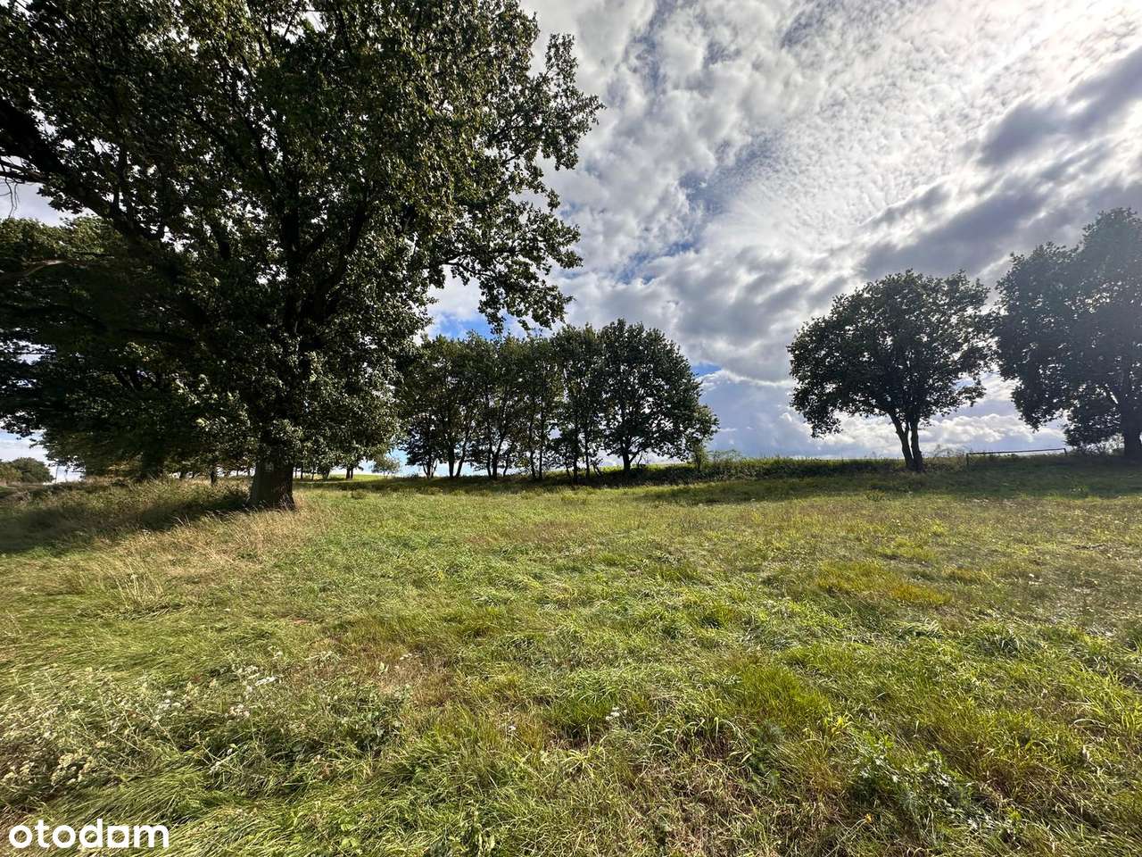 Atrakcyjna działka budowlana przy lesie, wieś Śrem k.Sierakowa-6