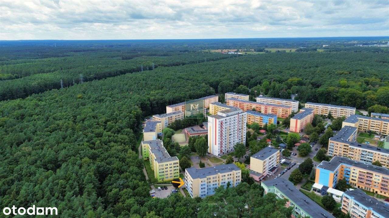 Dwa Pokoje-Twój nowy początek w spokojnej okolicy-3