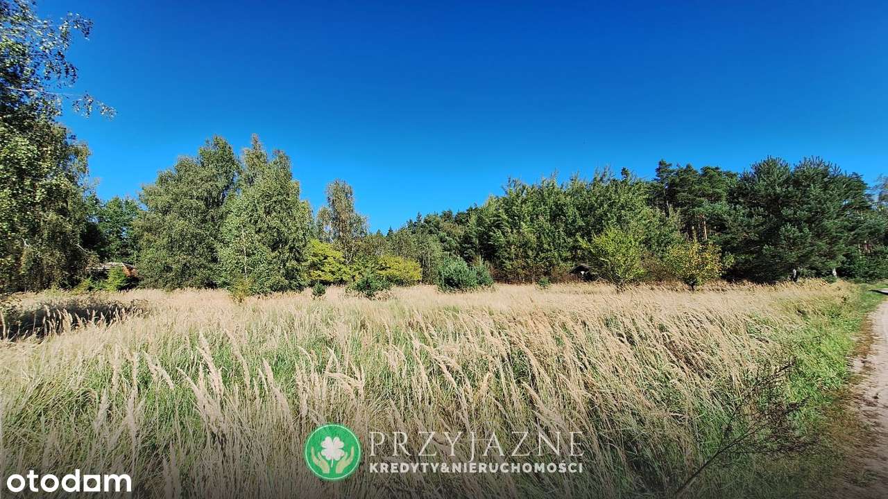 OKAZJA! 2 działki -> BARANOWO gm. Łubowo - Pełny obrazek: 4/7