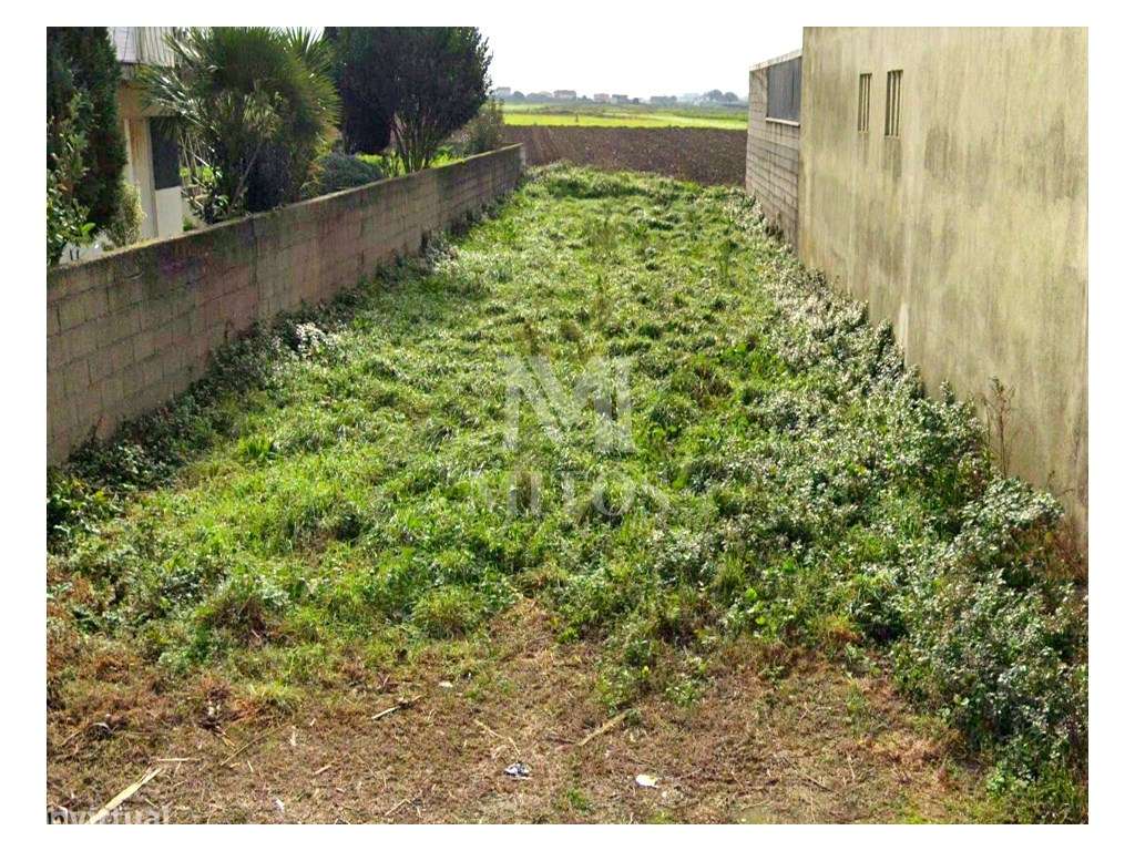 Terreno de construção nas Marinhas - Esposende - Grande imagem: 4/8