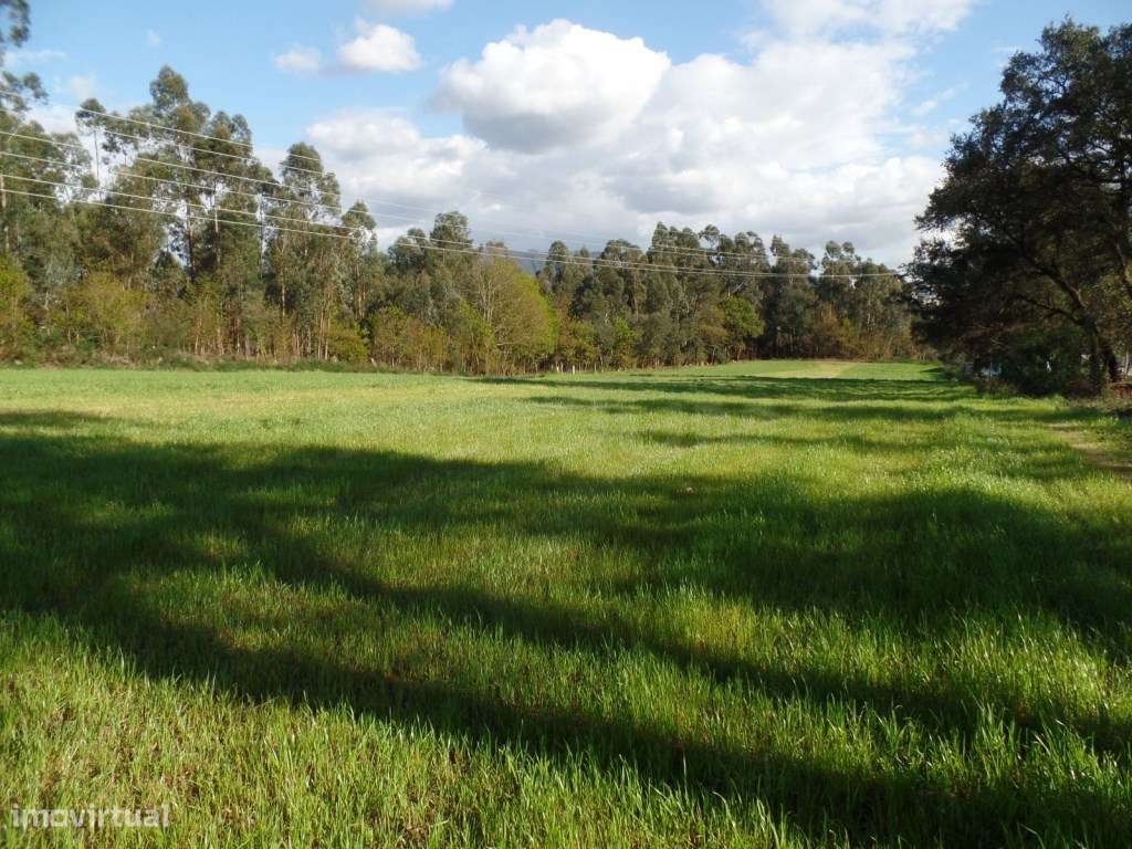 Terreno - Grande imagem: 2/7