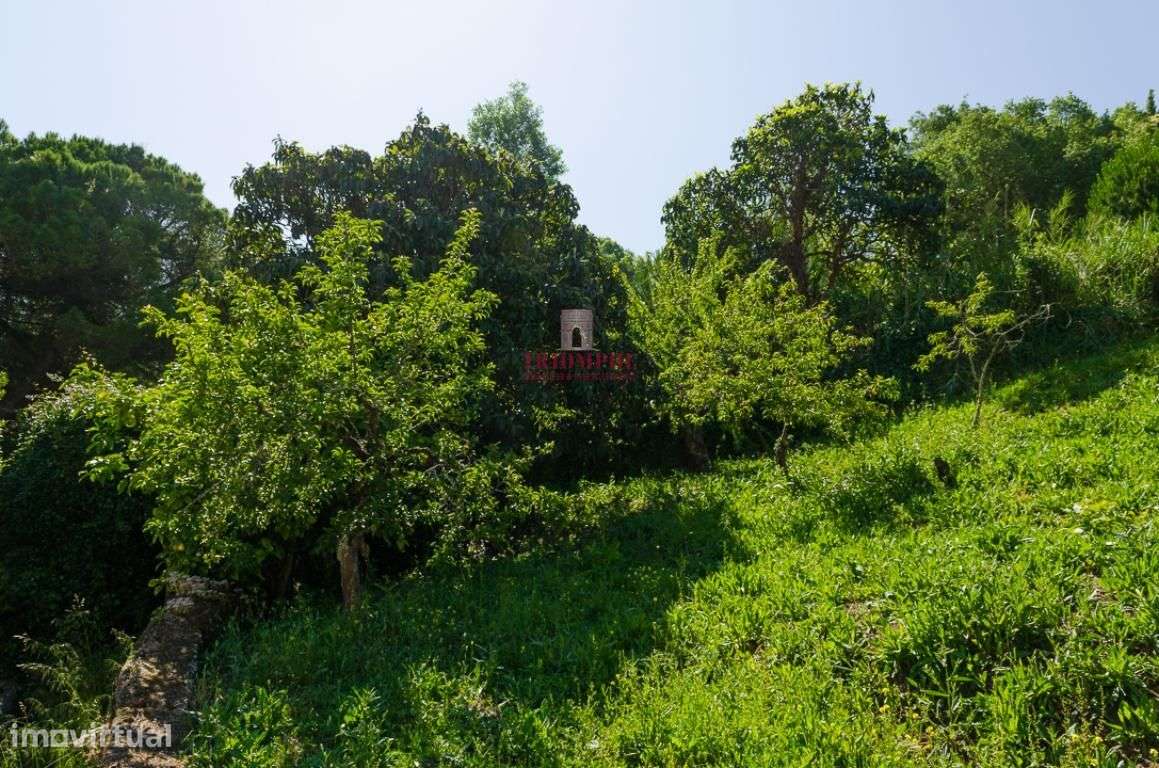 Prédio c/ Projeto Aprovado em Alcobaça - Grande imagem: 5/10