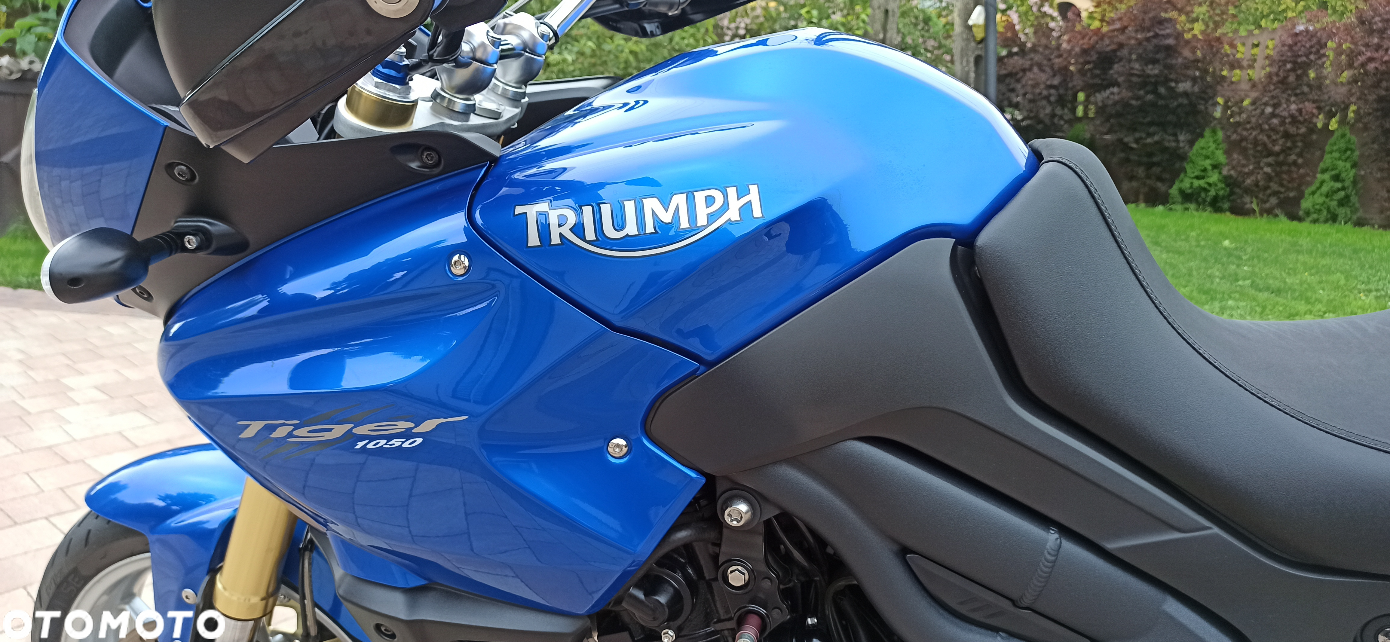 Triumph Tiger - 37