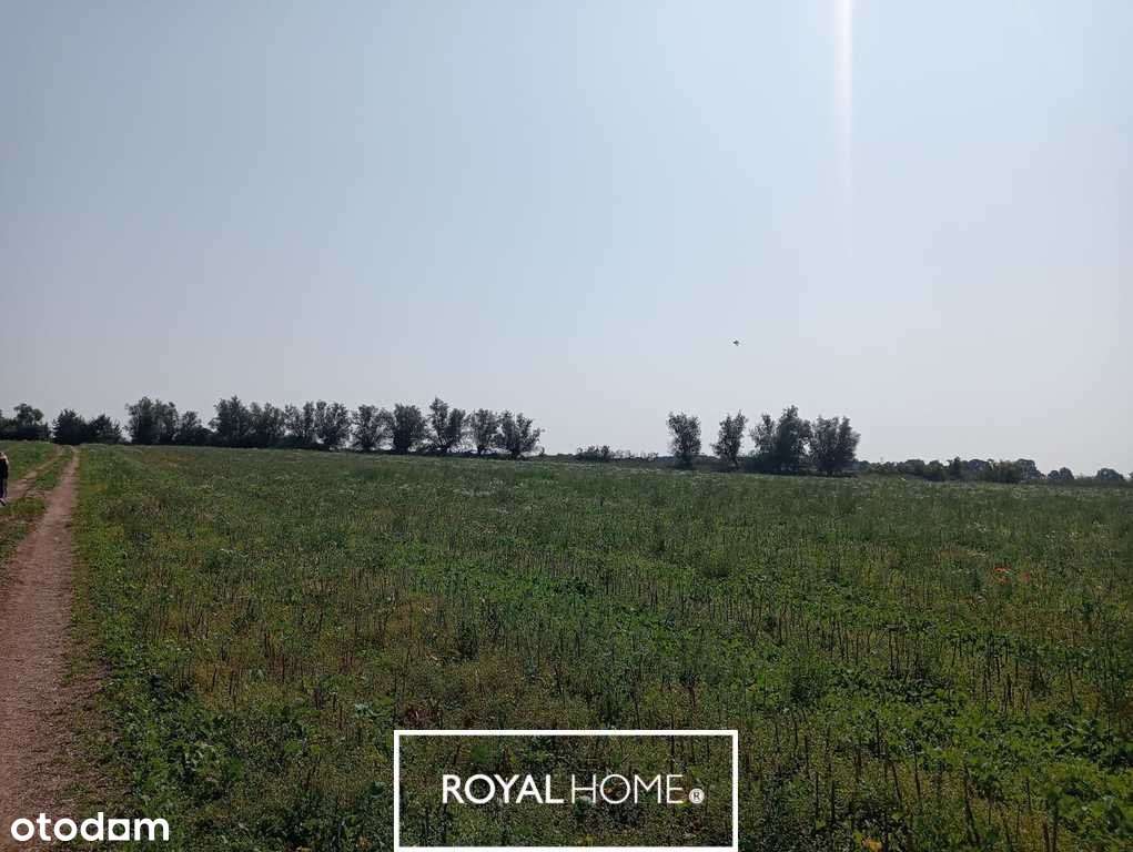 Działka na Wyspie Chrząszczewskiej 23778m² - Pełny obrazek: 5/9