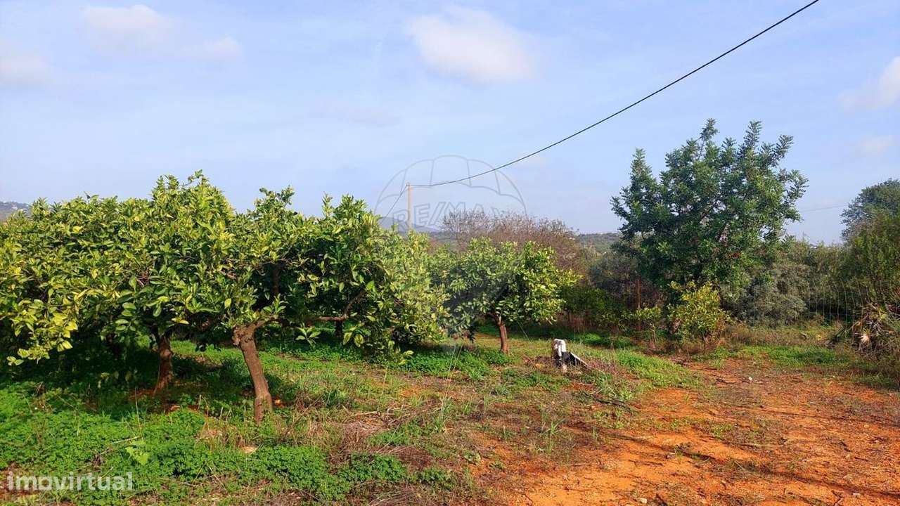 Terreno  para venda - Grande imagem: 5/7