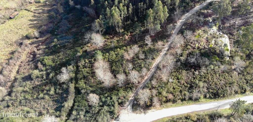 Terreno - Anissó - Grande imagem: 4/8