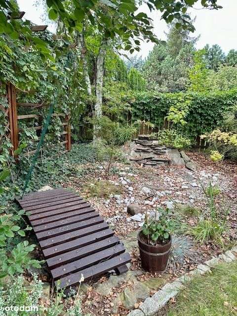 Wszystkie media miejskie! - Pełny obrazek: 2/16