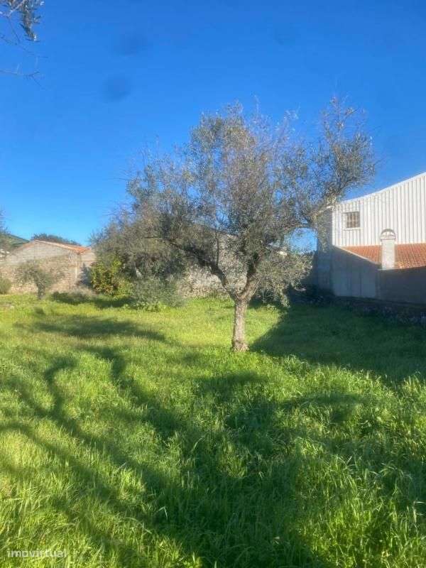 Terreno - Grande imagem: 2/5