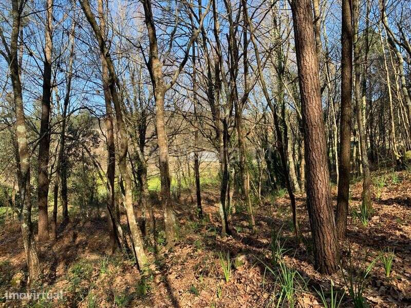 Terreno / Marco de Canaveses, Vila Boa do Bispo - Grande imagem: 4/10