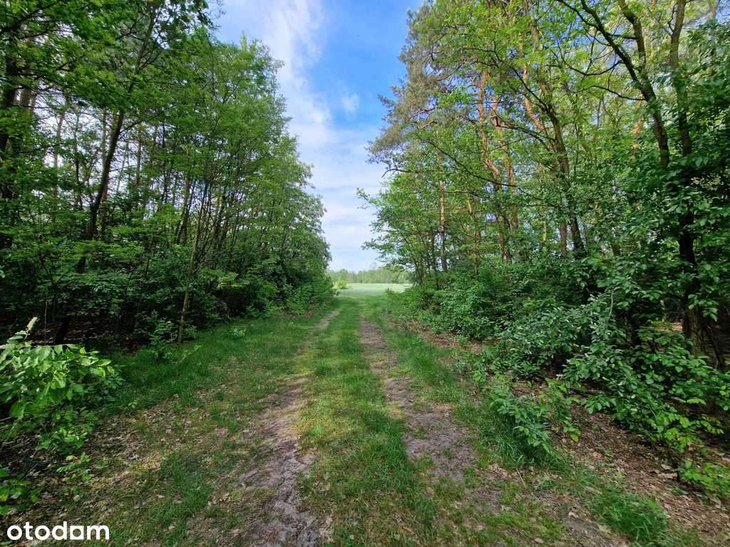 Nieruchomość idealna na inwestycję - agroturystykę-7