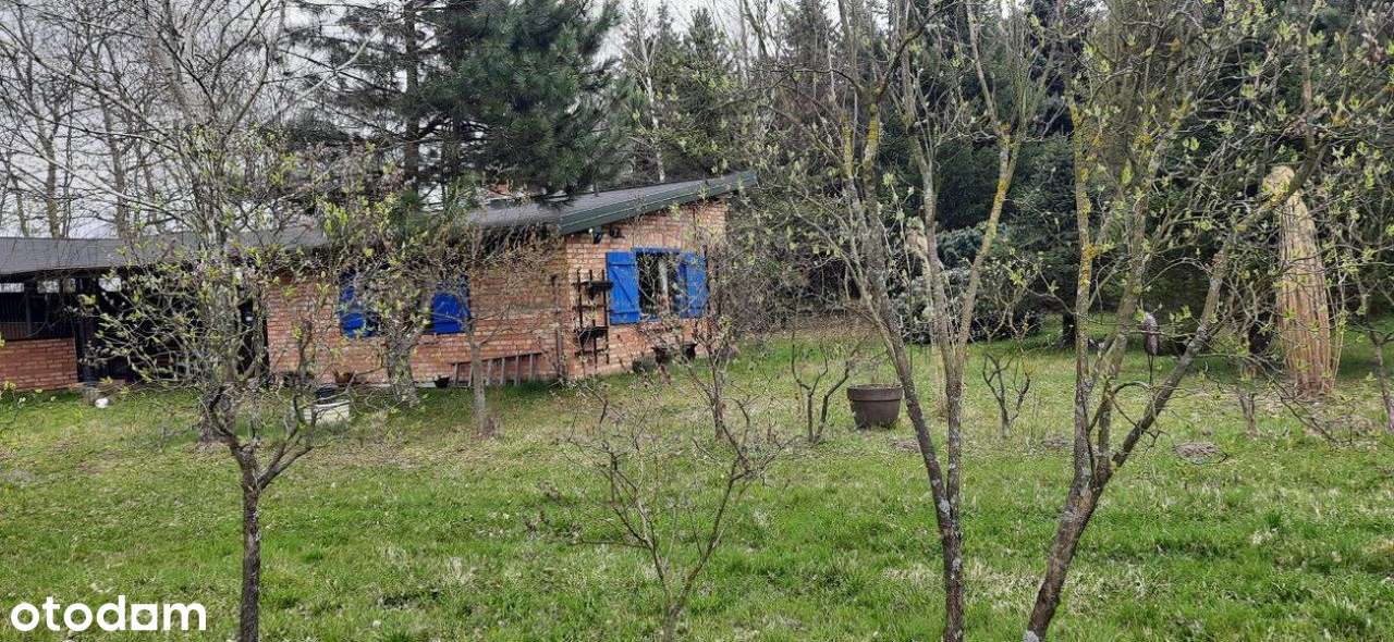 Piękna działka siedliskowa z budynkami.-14