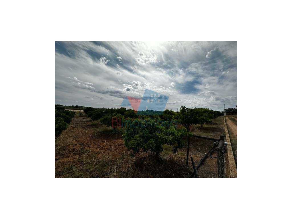 Monte para reabilitar-11