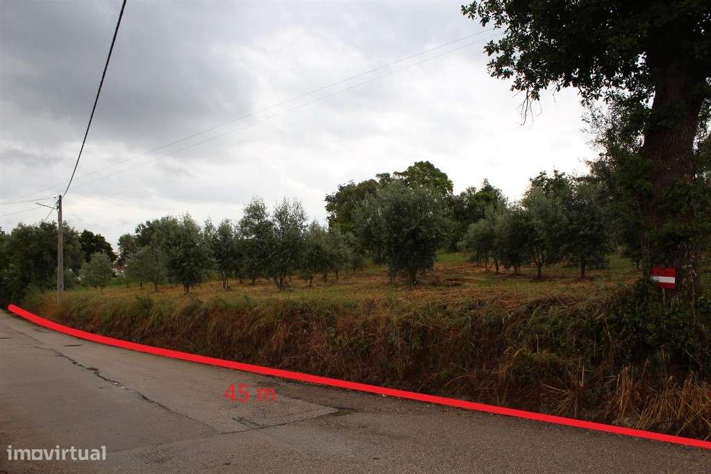 Terreno situado no concelho de Condeixa - Grande imagem: 4/10