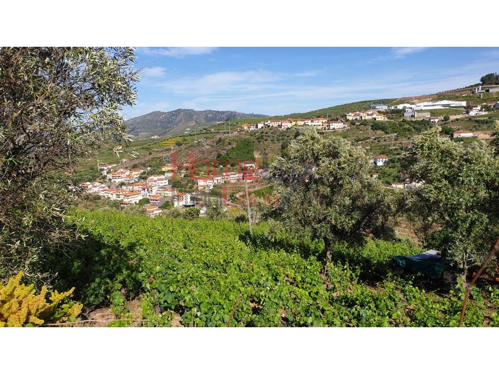 Quintinha para reconstrução - Grande imagem: 4/16