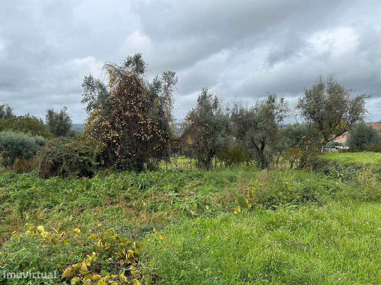 Lote de Terreno  Venda em Silgueiros,Viseu - Grande imagem: 4/8