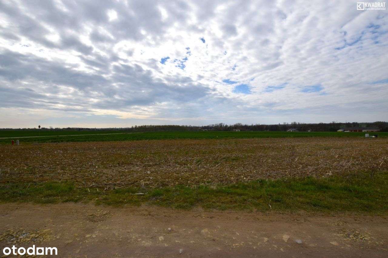 Skrzynice Drugie/ działka budowlana/ 11 ar - Pełny obrazek: 5/6