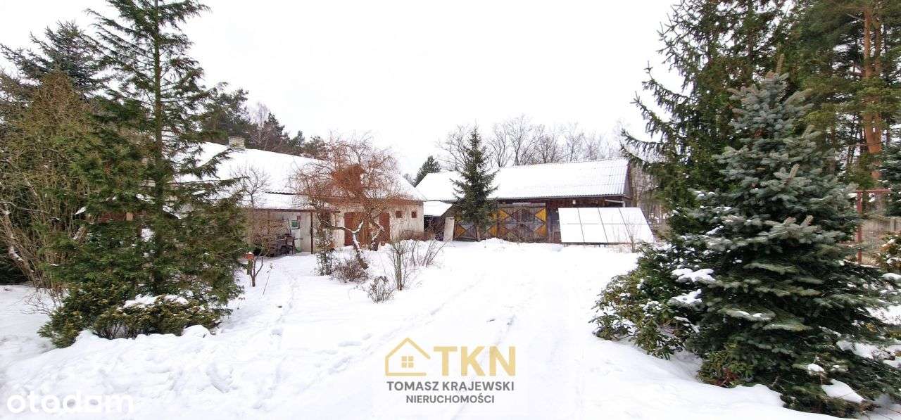 Dom wolnostojący z działką 1900 m2 Poświętne-Dąbro-1