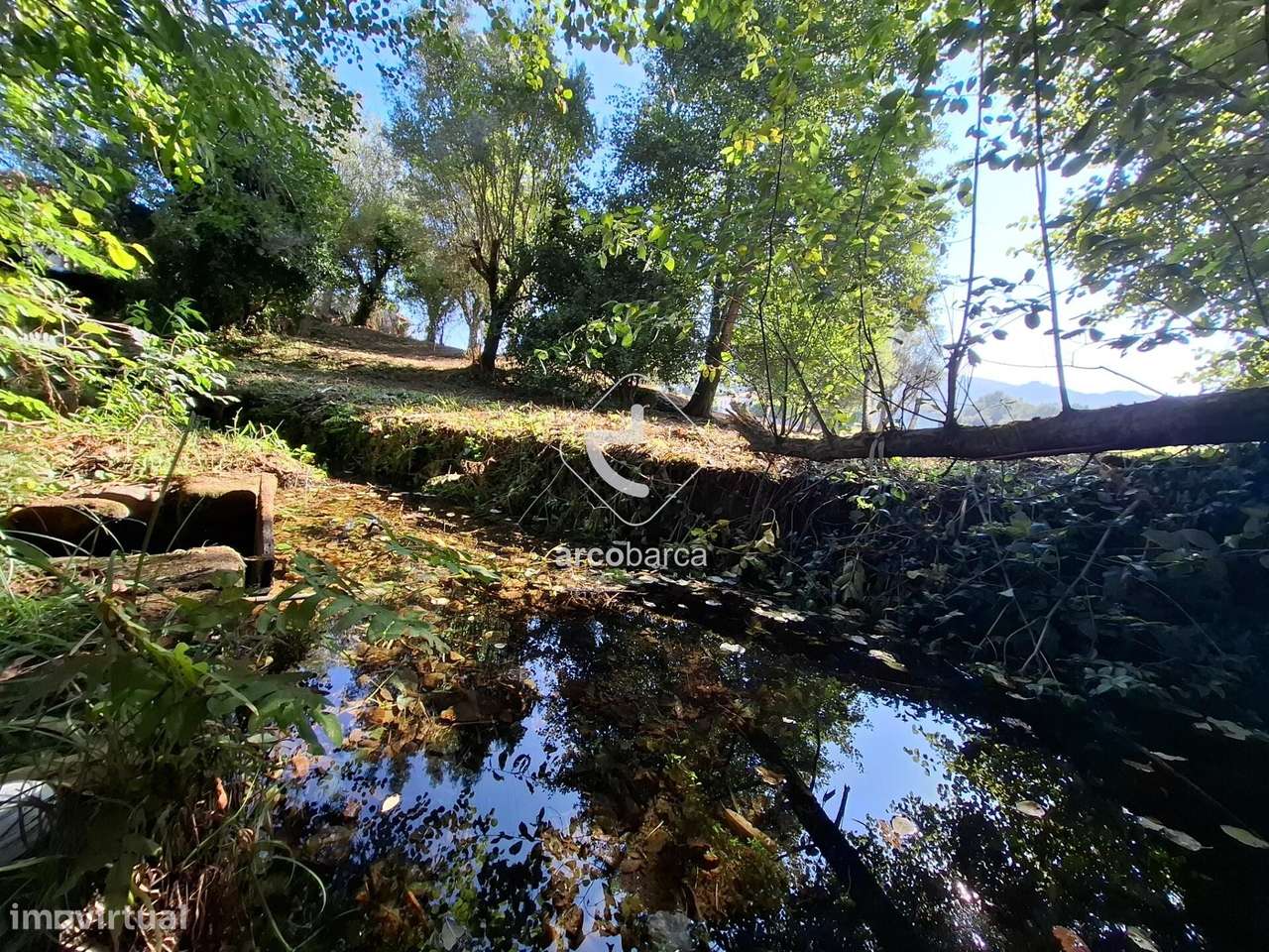 Quinta p/ restaurar com 6.200m2 - Ribeira/Ponte de Lima-40