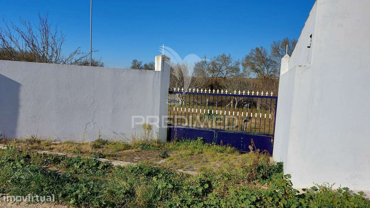 Terreno Agrícola - São Brissos , Beja - Grande imagem: 3/16