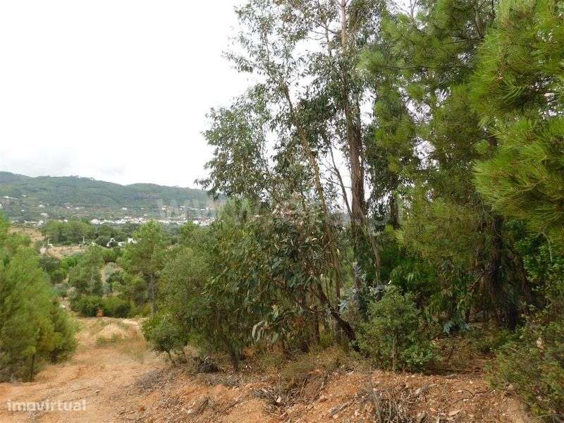 Terreno para Construção / Fundão, Aldeia Nova - Grande imagem: 5/12