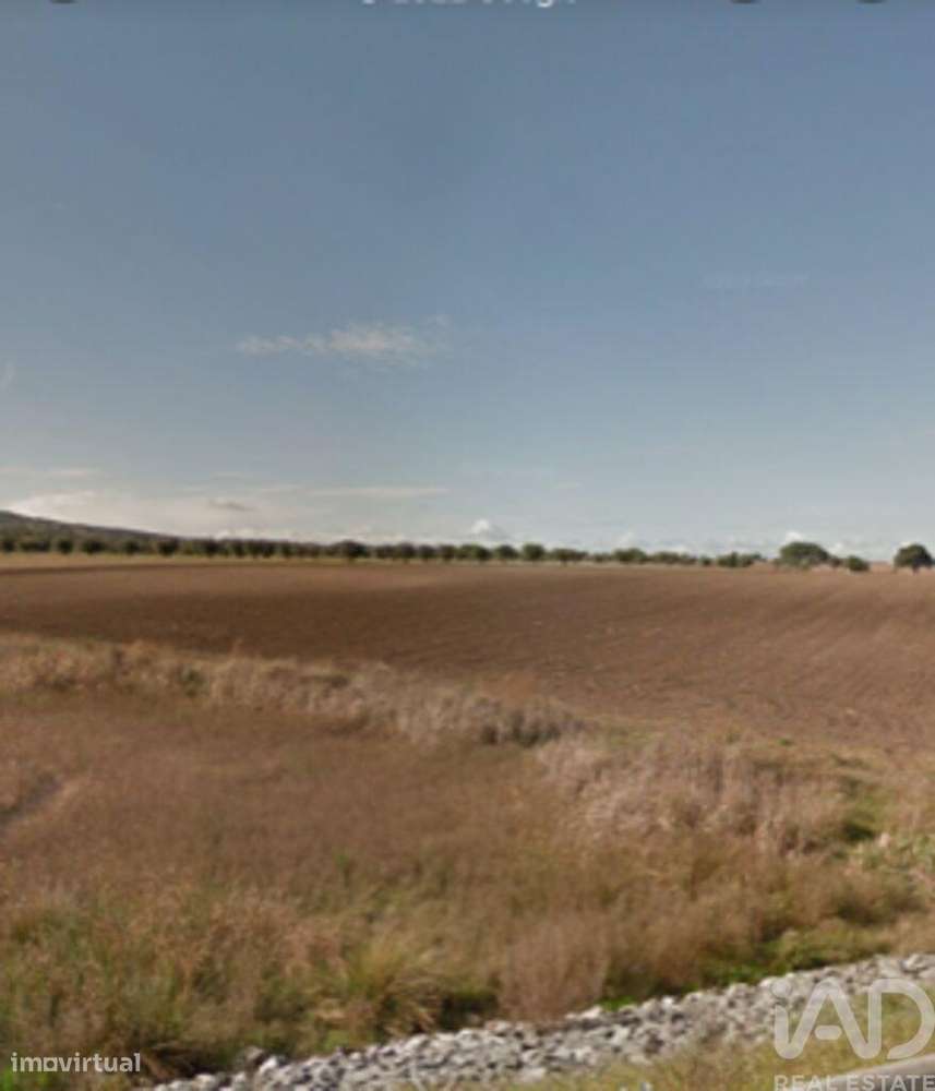 Terreno Agrícola em Beringel de 42229,00 m2 - Grande imagem: 3/5