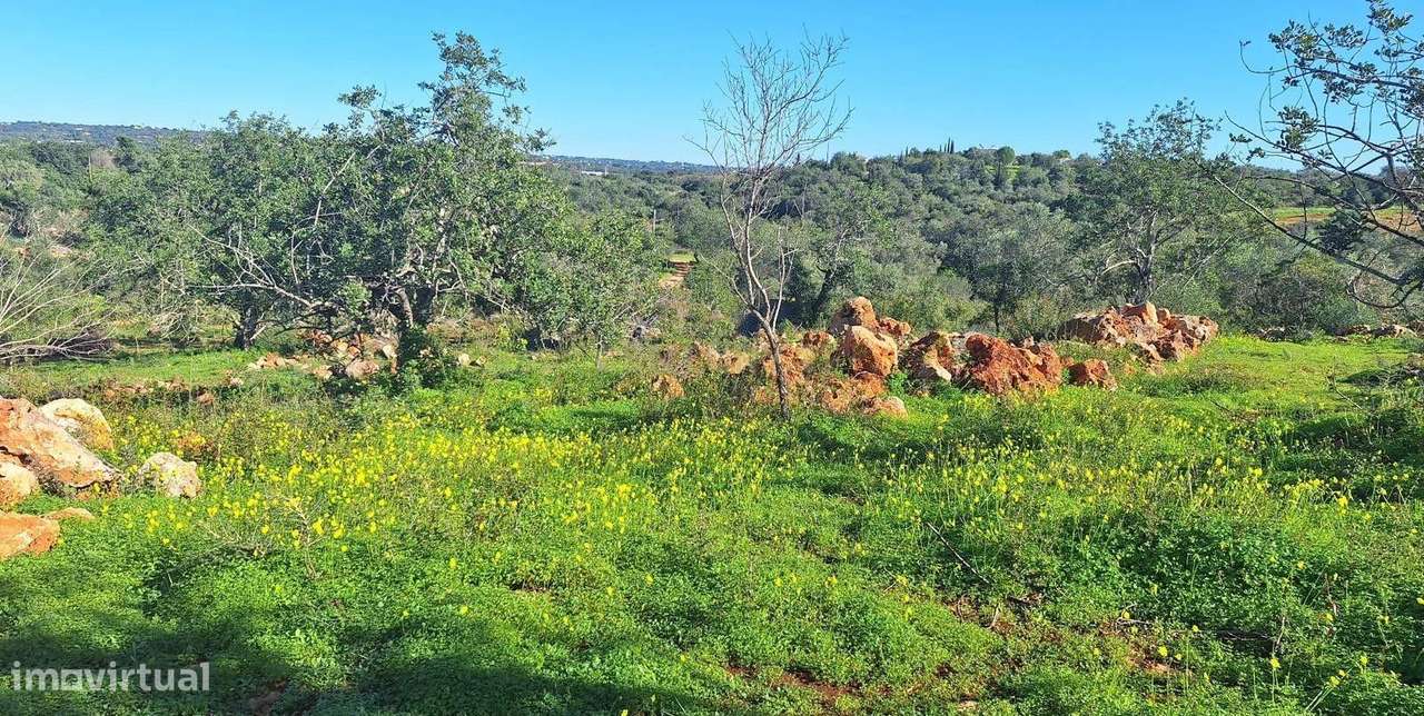 Terreno Rústico no Cerro da Cabeça - Grande imagem: 4/12