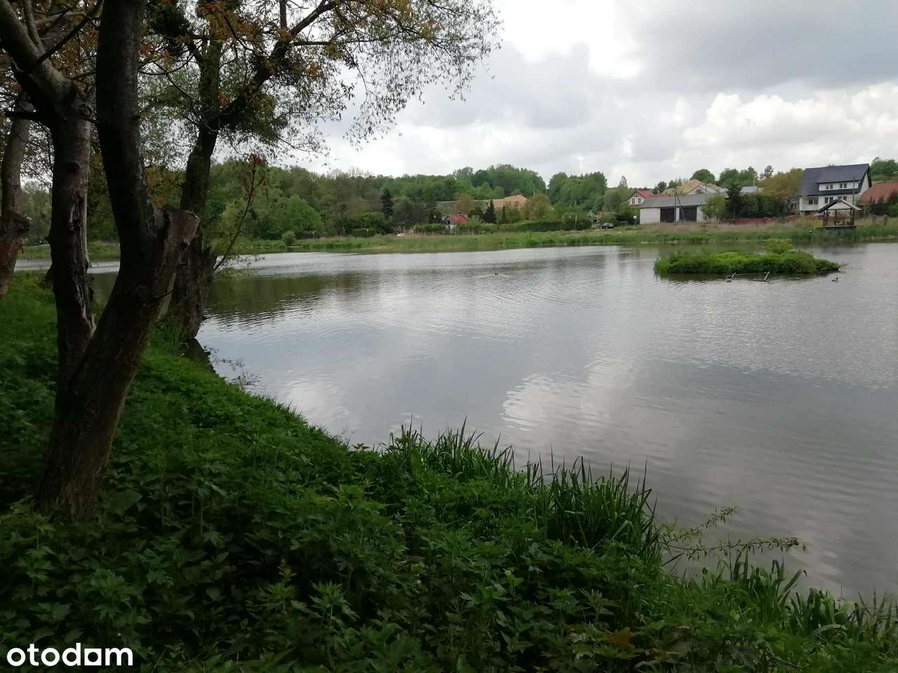 Staw z potencjałem inwestycyjnym – 4,6 ha, Klementowice. - Pełny obrazek: 5/7