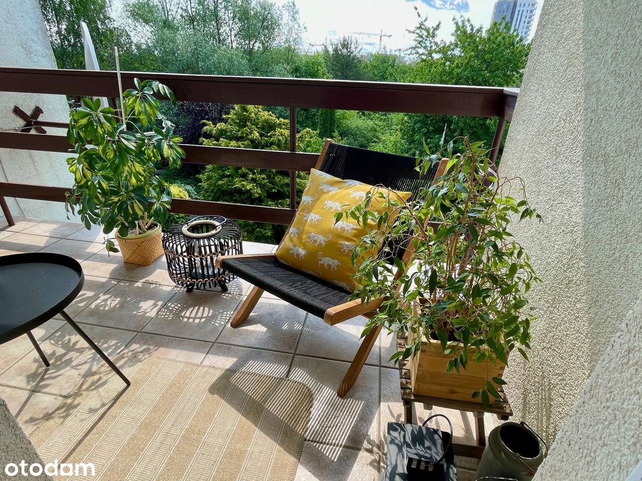 OKAZJA Słoneczny dom w zieleni! 10 min Centrum Garaż Duży ogród Cisza-1