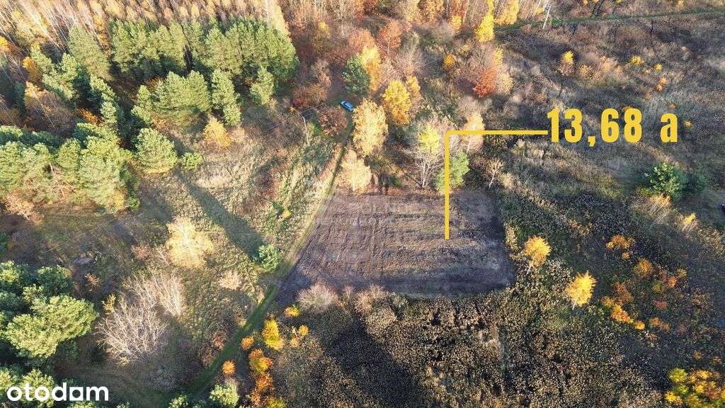 Działka 13,68 ar | Kajmów | Zmiana Ceny ! - Pełny obrazek: 3/5