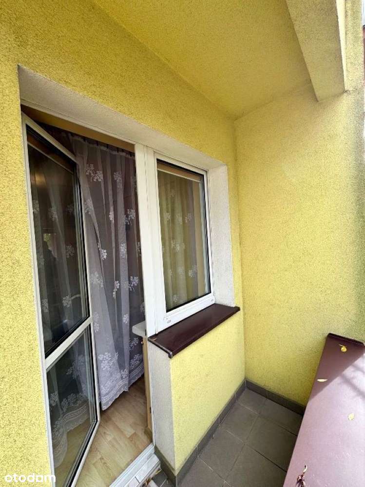 Perełka lokalizacyjna na Podwalu-6