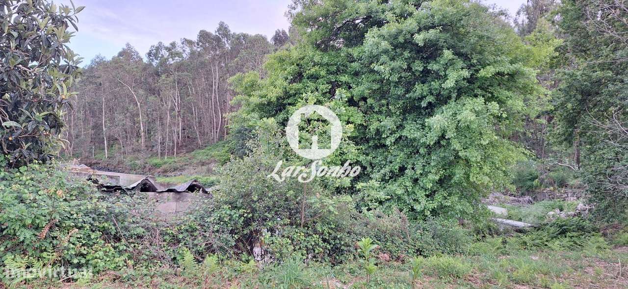 Terreno para moradia em Barcelos - Grande imagem: 3/25