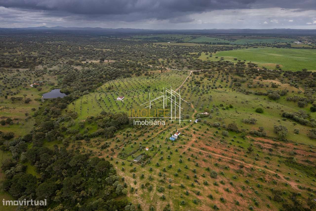 MONTINHO DO CHIADO - MALARRANHA - PAVIA-41