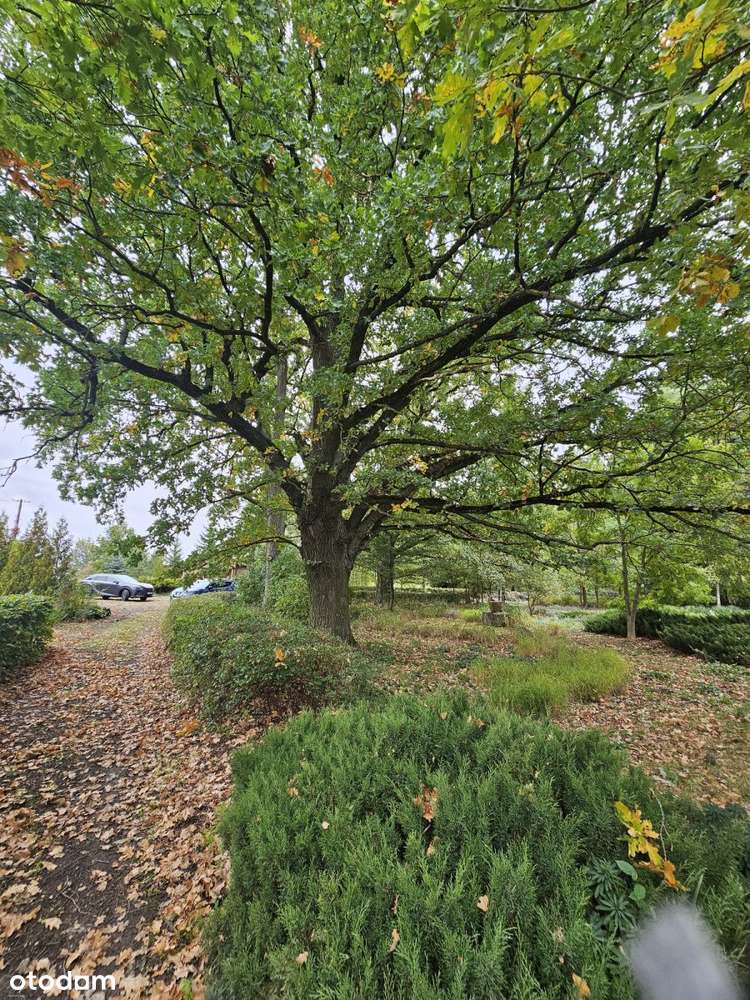 Działka wielofunkcyjna, Spa, Dom opieki, siedlisko-8