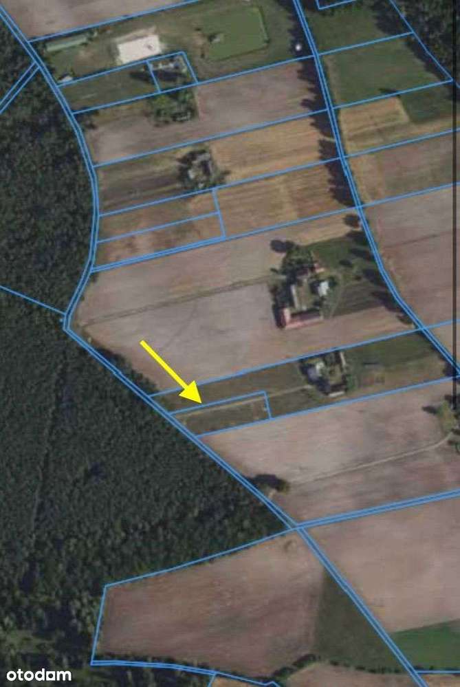 Działka budowlana przy lesie - BEZPOŚREDNIO - Pełny obrazek: 4/15