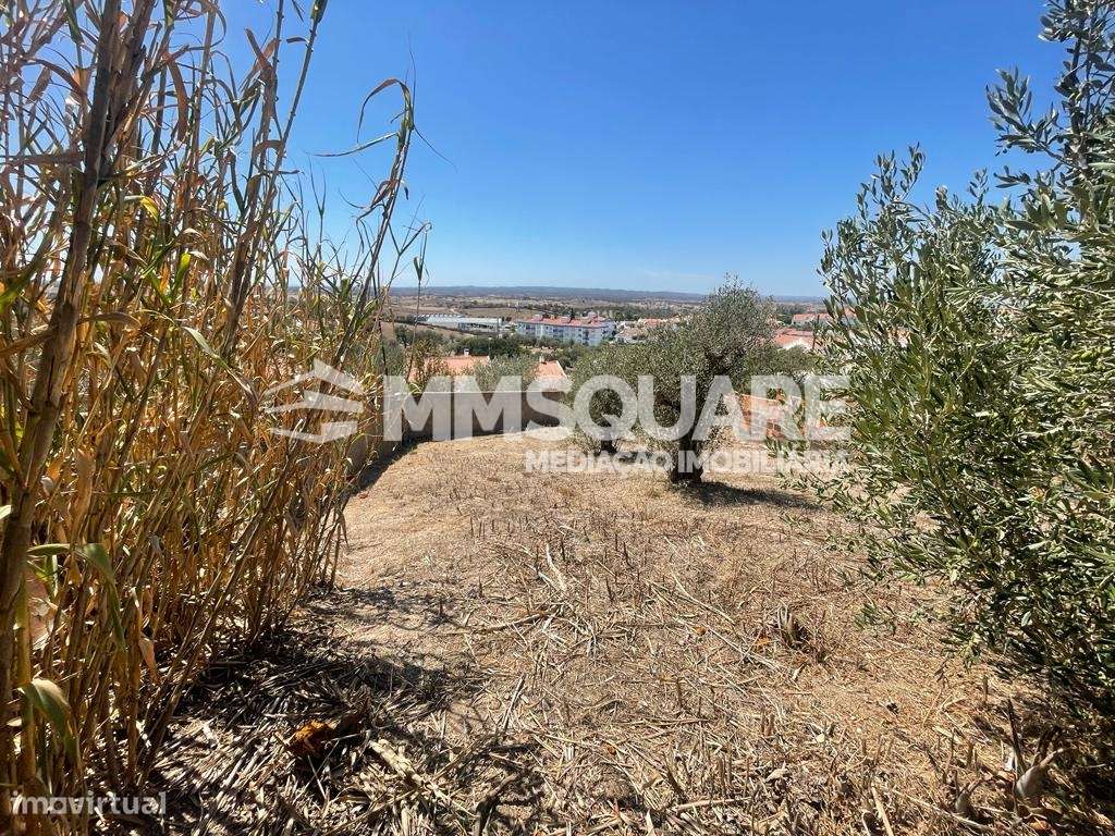 Terreno Para Construção  Venda em Ourique,Ourique - Grande imagem: 3/9