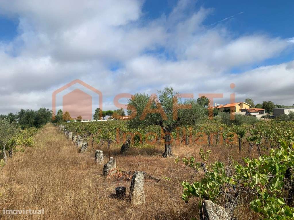 Terreno à venda em Prados - Pinhel-11